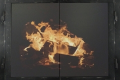 Classic Fullview Fireplace Door